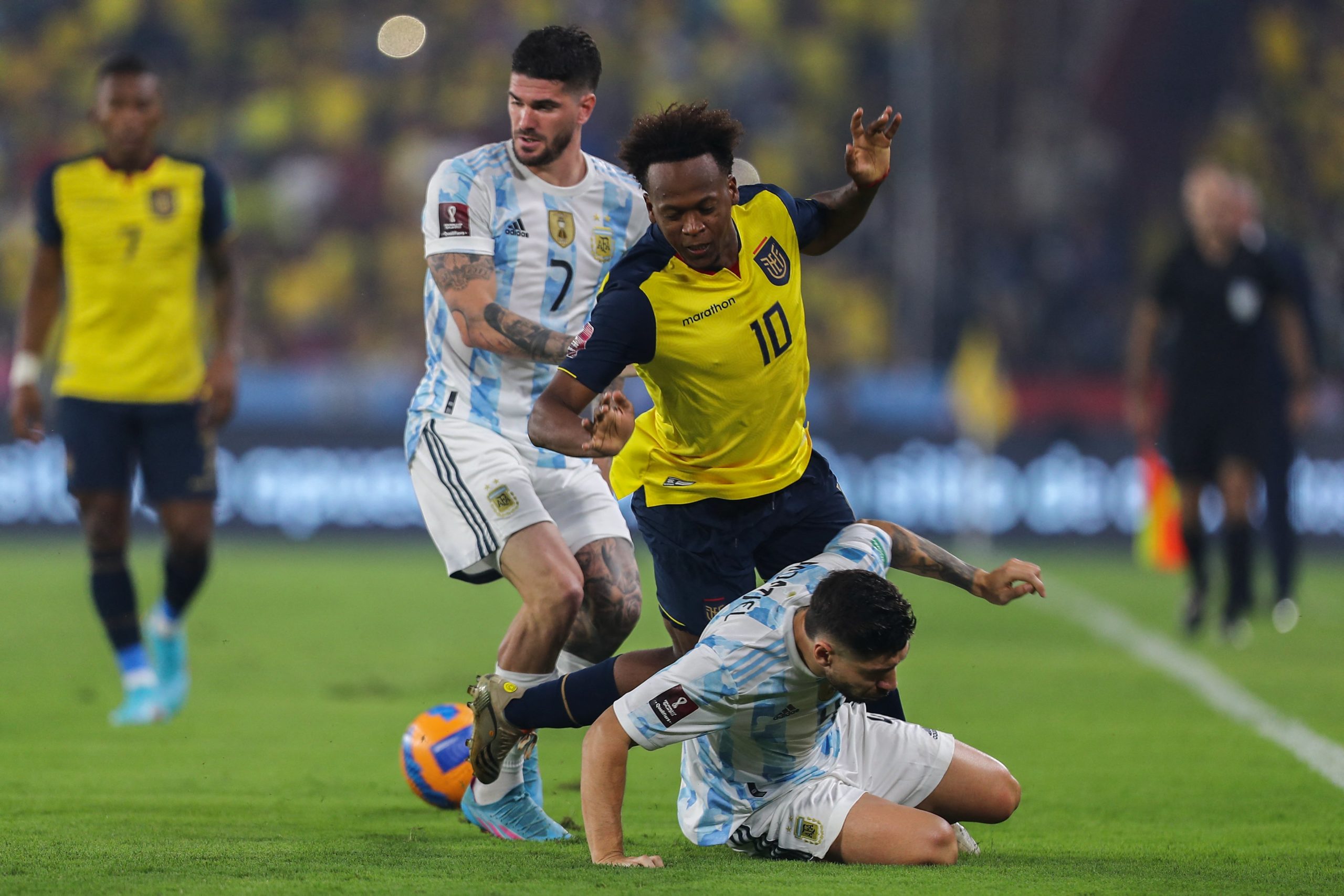 La Selección Argentina empató con Ecuador | Canal Showsport
