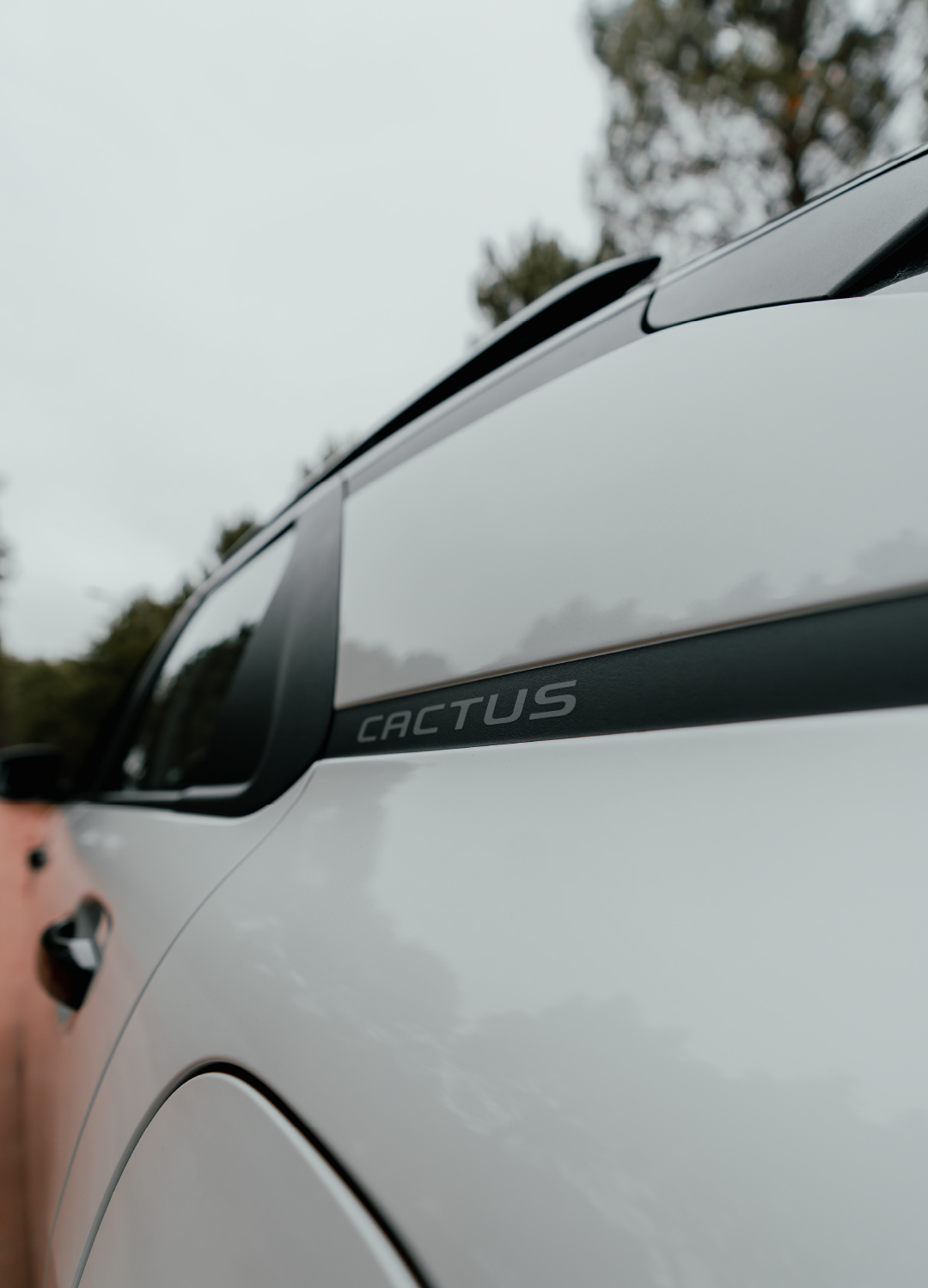 El Citroën C4 Cactus, líder en ventas de SUV compactos en febrero | Canal Showsport