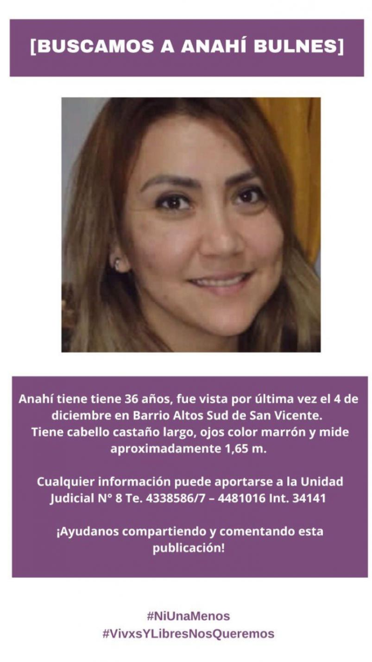 Detuvieron a un hombre por la desaparición de la docente Anahí Bulnes | Canal Showsport