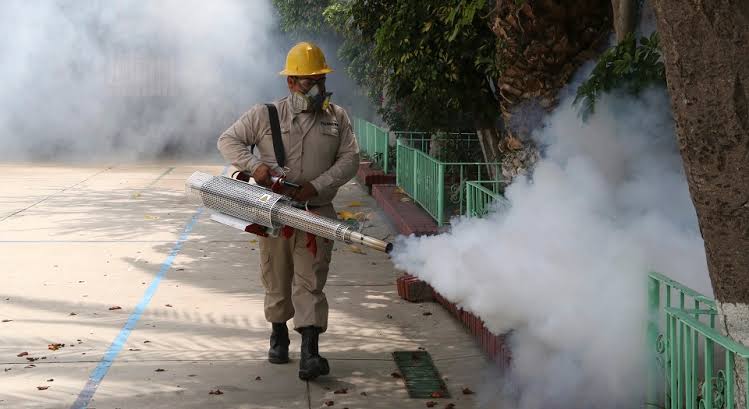 Murió un hombre por coinfección de dengue | Canal Showsport